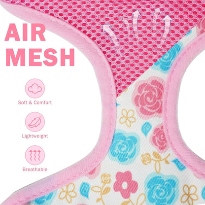 SCENEREAL Small Dog Harness Collar and Leash Set, Adjustable No Pull Pet Harnesses, No Chock Soft Mesh Step in Vest for Doggie Puppy Medium Dogs Cats Girl or Boy,Chihuahua, Yorkie, Outdoor Walking