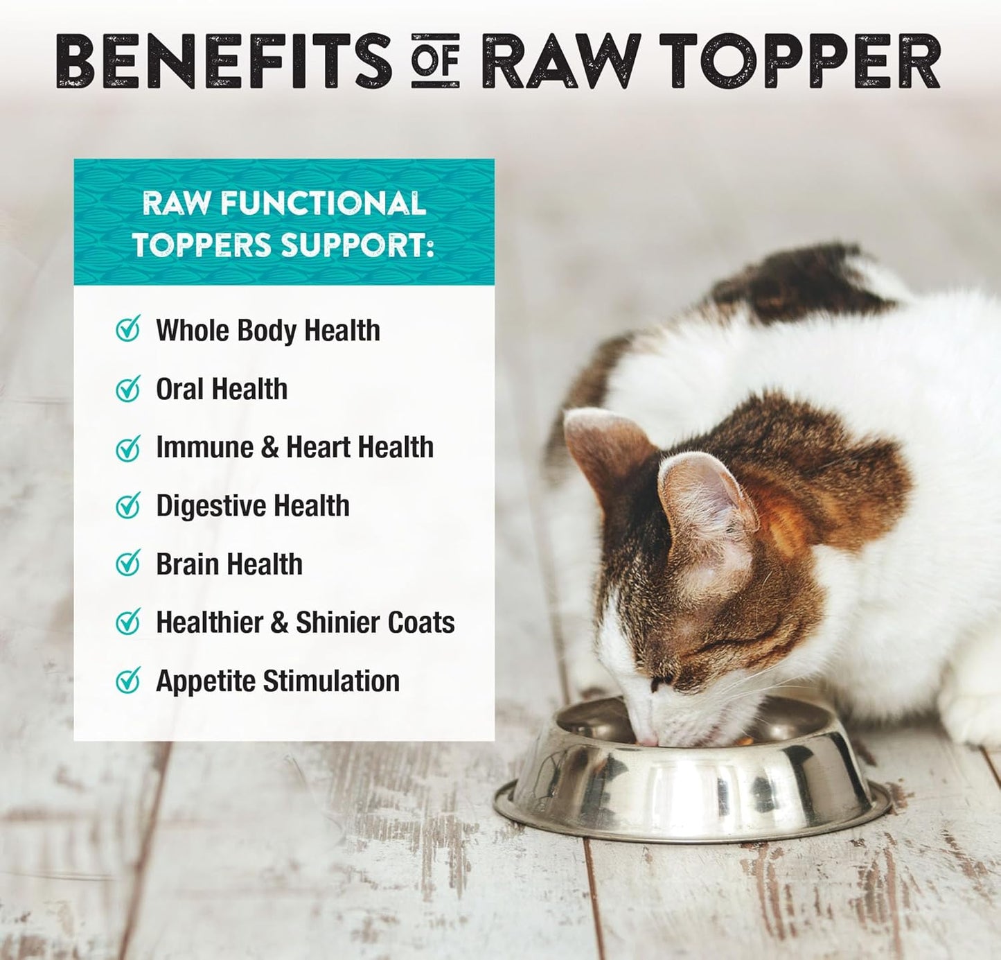 Northwest Naturals Freeze-Dried Chicken Breast with Green Lipped Mussels - Functional Topper - for Dogs and Cats - Limited, Human Grade Ingredients, All Natural, Proudly Made in USA, 5 Oz (Pack of 2)