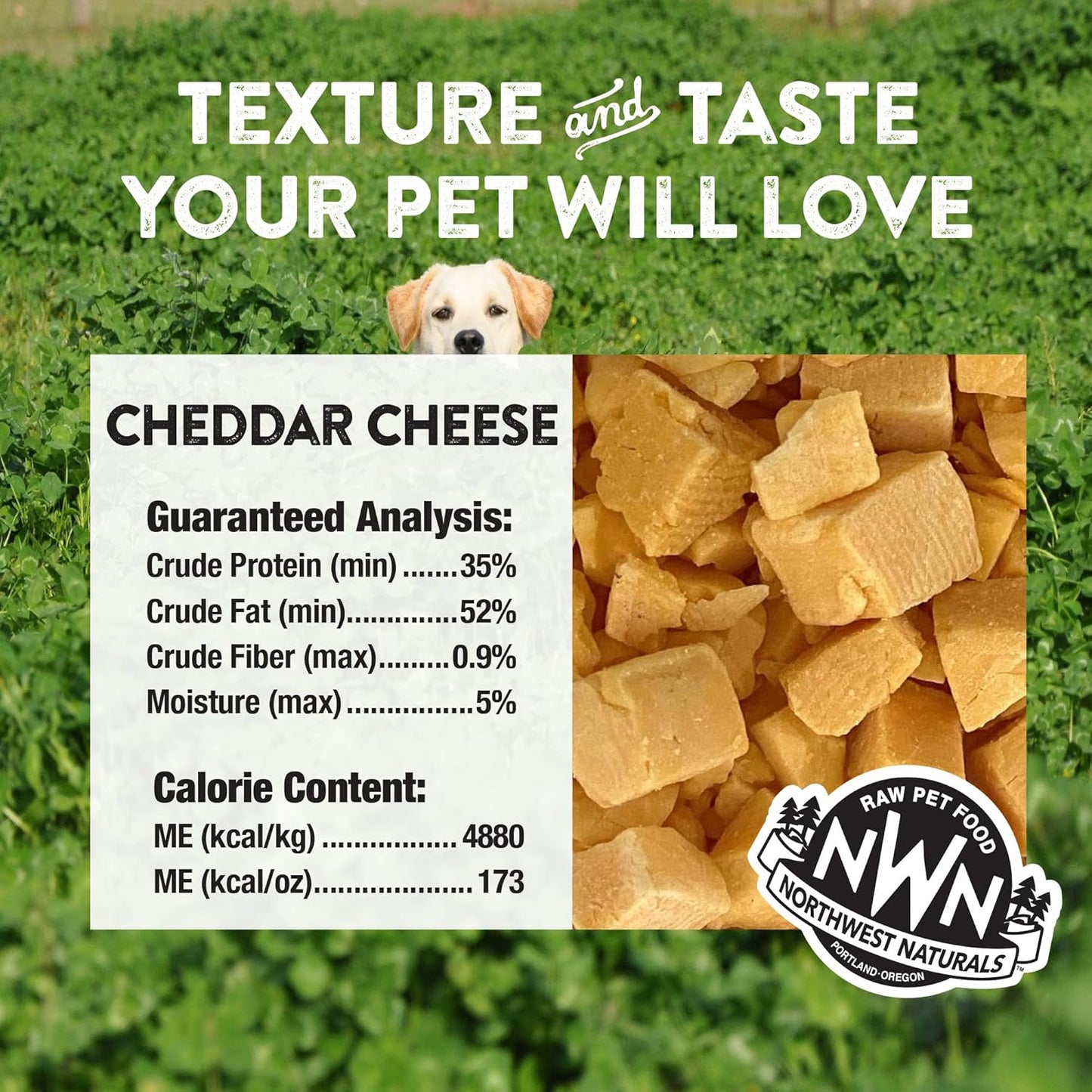 Northwest Naturals Raw Rewards Freeze-Dried Cheddar Cheese Treats for Dogs and Cats - Bite-Sized Pieces - Healthy, 1 Ingredient, Human Grade Pet Ingredients, All Natural, Proudly Made in USA, 6 Oz