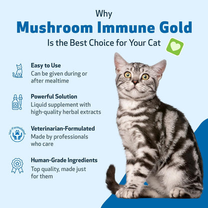 Pet Wellbeing Mushroom Immune Gold for Cats - Vet-Formulated - Immune Support with Reishi, Maitake, Turkey Tail, and Milk Thistle - Complementary Functional Mushroom Supplement 8 oz (237 ml)