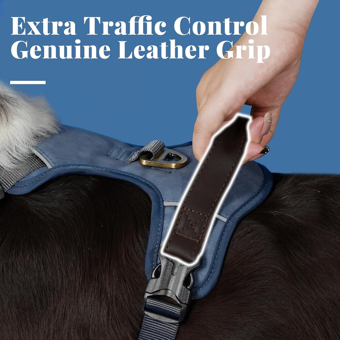 No Pull Dog Harness Medium Sized Dog,Stylish PU Leather Vest with Easy Control Handle,No Choke Front Clip with 2 Metal Leash Clips,Reflective & Adjustable for Walking,Blue,Chest 22-29"