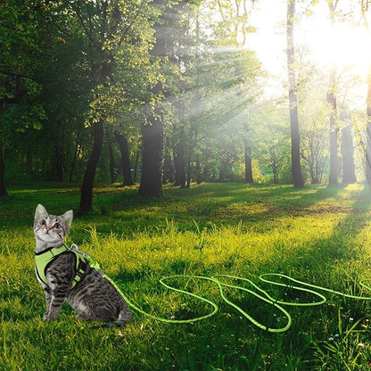 Reflective Cat Leash -50FT Cat Cable Out Escape Proof Walking Leads Yard Long Durable Safe Leash Traning Play Outdoor for Puppies/Kittens/Small Animals(Green)