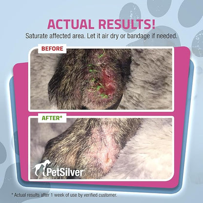PetSilver Wound & Skin Spray for Cats - Chelated Silver, Superior to Colloidal Silver - Wound Care, Allergy & Itch Relief, Hot Spot Treatment for Cats - Natural Skin Soother - Made in USA - 2 fl oz