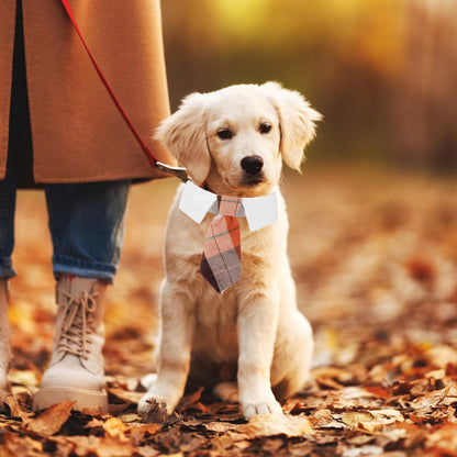 ADOGGYGO Fall Dog Necktie, Halloween Thanksgiving Pet Tuxedo, Orange Plaid Fall Neck Tie Collar for Small Dogs (Small)