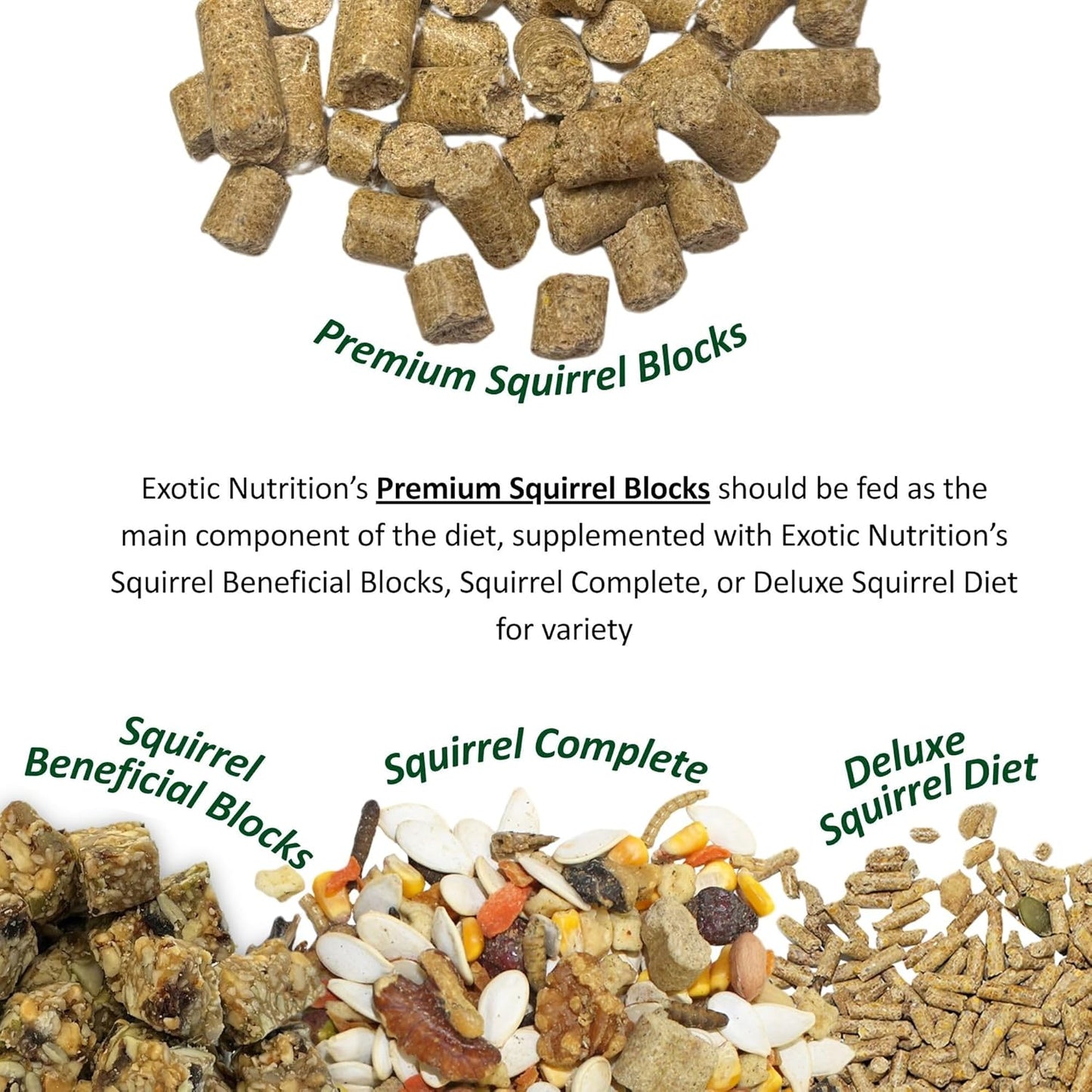 Exotic Nutrition Beneficial Blocks (10 oz.) - Healthy & Unique Supplemental Food with Nuts & Seeds for Squirrels