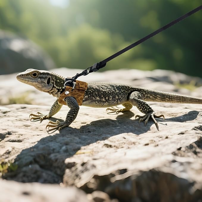 AIITLE 3 Pack Adjustable Bearded Dragon Harness and Leash Set - Leopard Print, Comfort Soft Leather Vest for Lizards, Iguanas, Guinea Pigs, Outdoor Walking & Camping, Brown