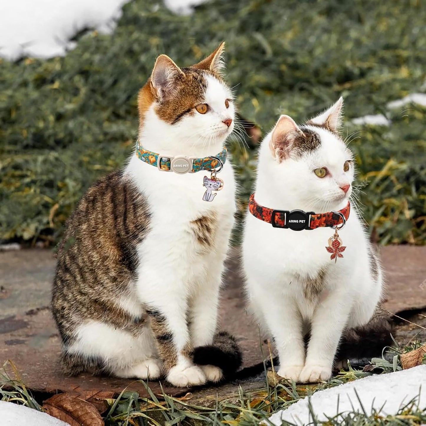 ARING PET 2 Pack Cat Collars, Breakaway Cotton Fall Halloween Kitten Collar with Bells for Girl Boy Cats Pumpkin & Autumn Leaf