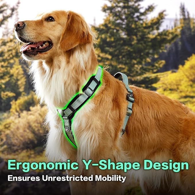 PawsPassion Dog Harness for Large Dogs, No Pull Dog Harness Easy Walk with Metal Hardware, Ergonomic Y-Shaped Design, Soft Padding, Padded Handle, Durable High-Tensile Nylon (Seabreeze, L)