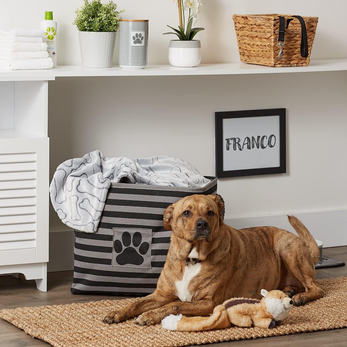 Bone Dry Pet Storage Collection Striped Paw Patch Bin, Black, Large Rectangle