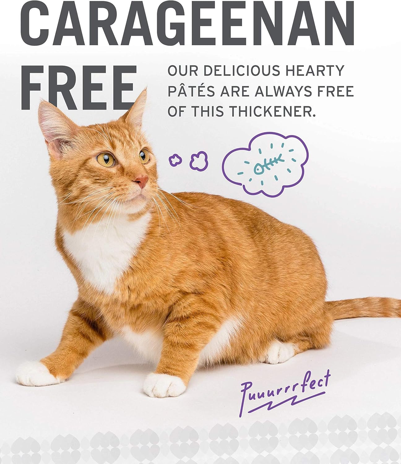 I AND LOVE AND YOU Naked Essentials Canned Wet Cat Food - Variety Pack: Beef Recipe, Salmon+Chicken Recipe, Turkey Recipe, 3-Ounce, Pack of 12 Cans, variety pack pate; beef, salmon, turkey