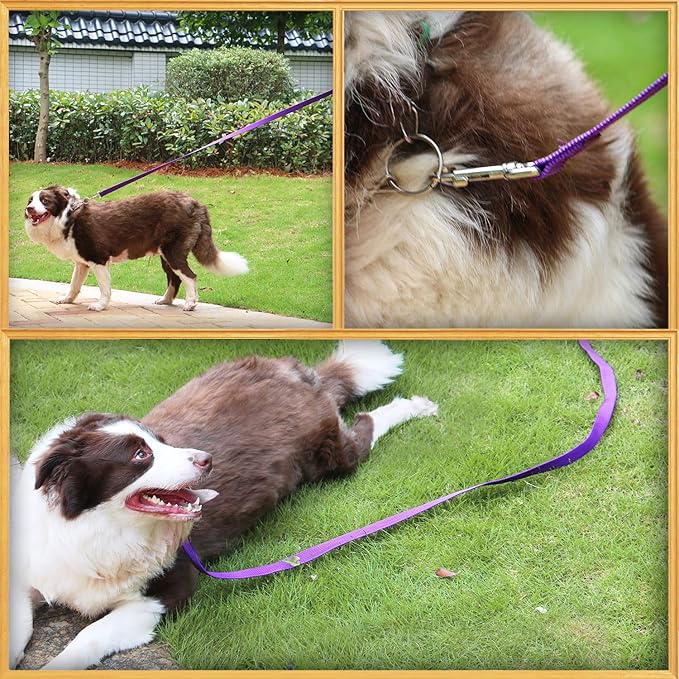 AMAGOOD 6 FT Puppy/ Dog Leash, Strong and Durable Traditional Style Leash with Easy to Use Collar Hook, Great for Small, Medium and Large Dogs (1 in x 6 ft(Pack of 1), Purple)