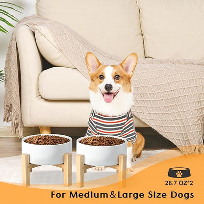 SPUNKYJUNKY Ceramic Elevated Dog Bowls 2 Pack - 6.1inch Raised Dog Bowls with Non-Slip Wooden Stand for Medium Dogs Dishwasher Safe(White,28.7OZ*2)