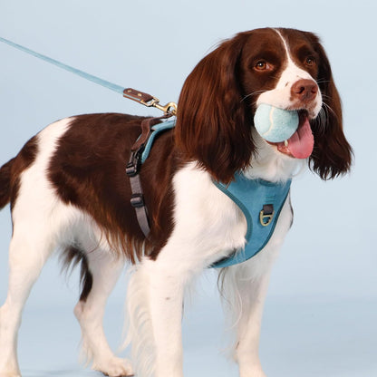 No Pull Dog Harness Medium Sized Dog,Stylish PU Leather Vest with Easy Control Handle,No Choke Front Clip with 2 Metal Leash Clips,Reflective & Adjustable for Walking,Light Blue,Chest 22-29"