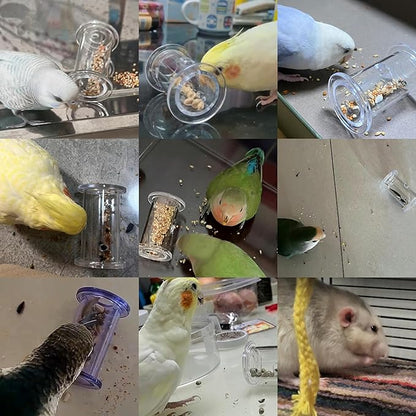 Bird Foraging Toys,Parrot Training Toys,Parrot Interactive Toys to Increase Feeding Time, Bird Enrichment Toys for Small and Medium Parrots,Cockatiel,Parakeet,Conures,Budgie,(Random color for gitfs)