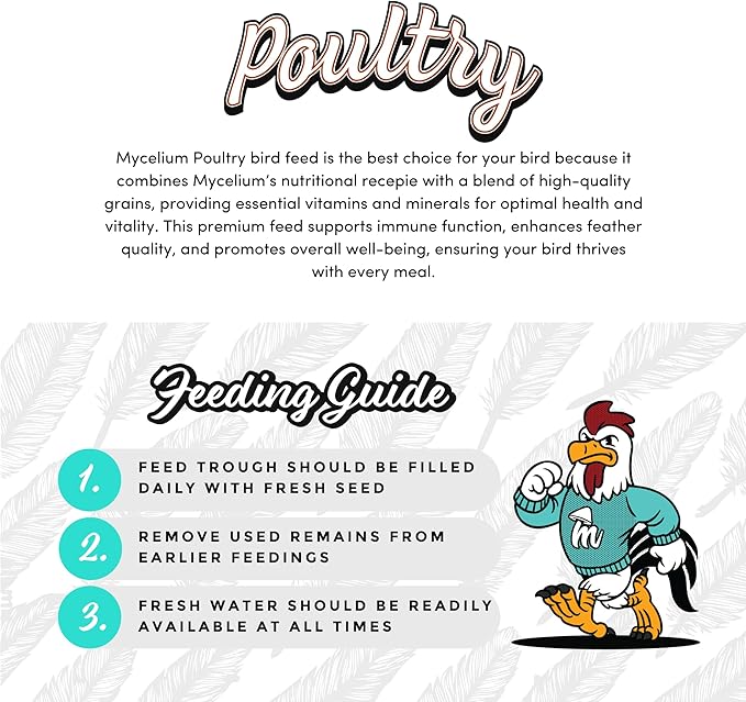 Mycelium Premium Corn – Organic, Non-GMO, High Nutritional Value Poultry Food for Chickens, Ducks & Turkeys, Sourced from Local USA Farms, Sustainable Farming, 5 lbs