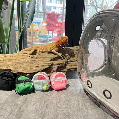 Leopard Gecko Backpack Carrier,Reptile Portable Backpack Carrier with Small Backpack Harness Leash Set,Space Capsule Clear Bubble Window Travel Backpack for Lizard Travel,Guinea Pig,Rabbit