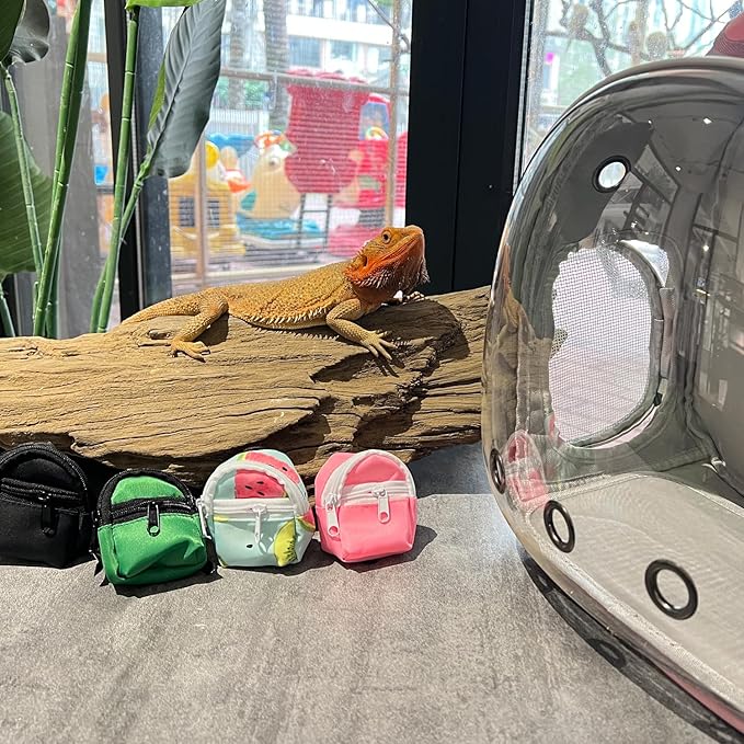 Desert Iguana Backpack Carrier,Bearded Dragon Portable Backpack Carrier with Small Backpack Harness Leash Set,Space Capsule Clear Bubble Window Travel Backpack for Lizard Travel,Guinea Pig,Rabbit