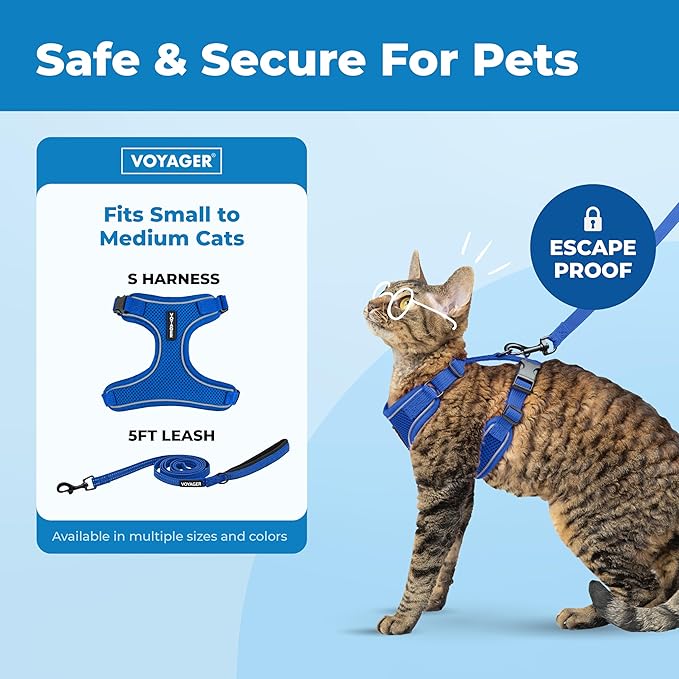 Voyager Escape Proof Cat Harness and Leash Set with Reflective Stitching, Neoprene Handle 5ft - Supports Small, Medium and Large Cats, Kittens for Walking by Best Pet Supplies - Royal Blue, S