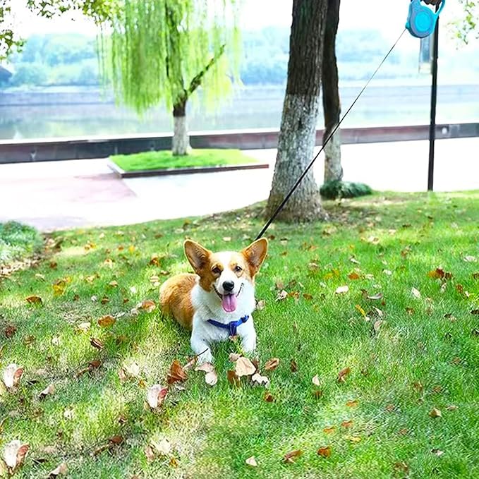 Retractable Dog Leash Lightweight 10/16FT Leash with Non-Slip Handle, for Small Medium Dogs (Gray Blue, 16FT)