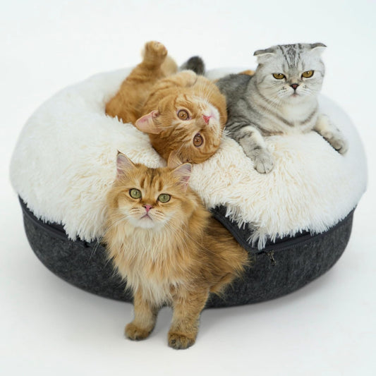CATTASAURUS Peekaboo Cat Cave for Multiple & Large Cats Up to 30-45 Lbs, Fluffy Cat Beds for Indoor Cats, Scratch Detachable & Washable Tunnel Bed, Comfy Donut Cave (Dark Gray, Large (Calming))