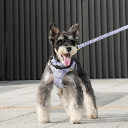 Beirui Cute Extra Small Dog Harness Collar and Leash Set with Bowtie, Soft Adjustable Plaid Puppy Harness for Small Sized Dogs Cats Walks Parties and Photoshoots(Blue,XS:Chest 13-18")