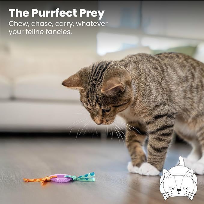 Catstages Kitty Chew Wheel, Dental Cat Toy with Catnip Oil, Teeth Cleaning, Healthy Chewing, Boredom Relief, Kicking & Batting for Kittens and Adult Cats, Purple