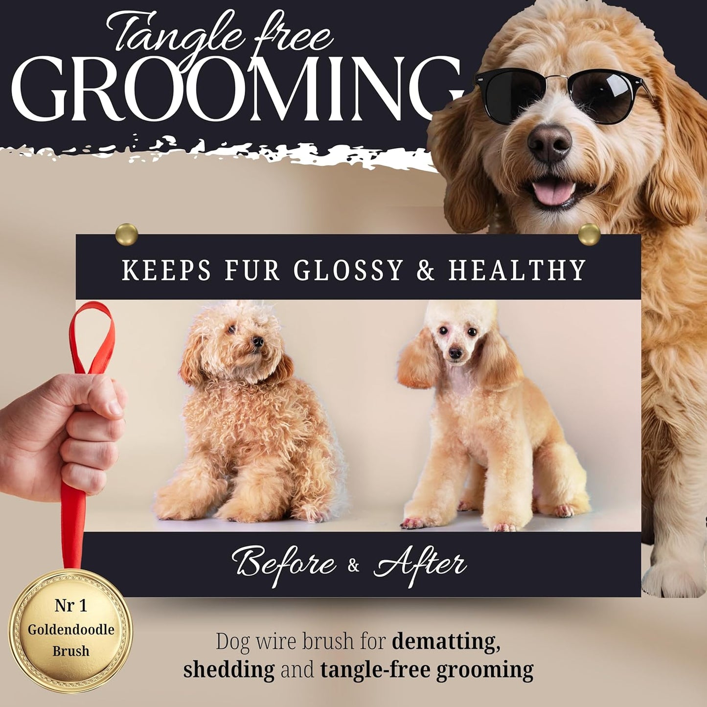 Dog Slicker Brush - Large - Protective Ball Tipped Pins Massages Pet Skin - Professional Groomer Dog Brush for Goldendoodle - Golden Retriever Brush (Large Size)