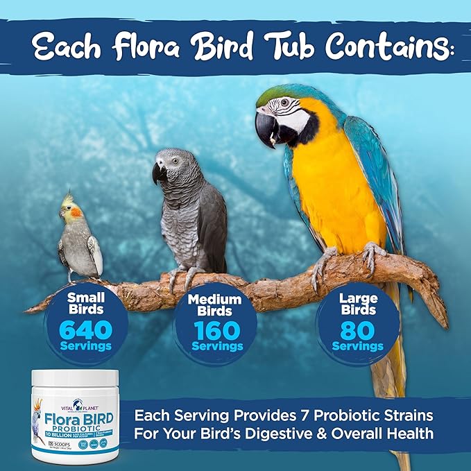 Vital Planet - Flora Bird Probiotic Powder Supplement with 10 Billion Cultures and 7 Diverse Strains, High Potency Probiotics for All Birds for Avian Digestive and Immune Support 80 Scoops 1.06 oz
