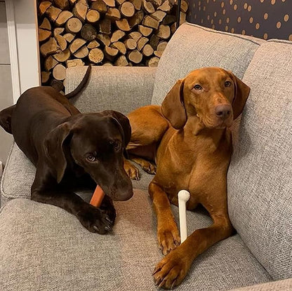 Nylabone Original Bone Power Chew Toy for Dogs, Durable Dog Toys for Aggressive Chewers, Basted Blast Chicken Flavor, Large - Up to 50 lbs, 2 Pack