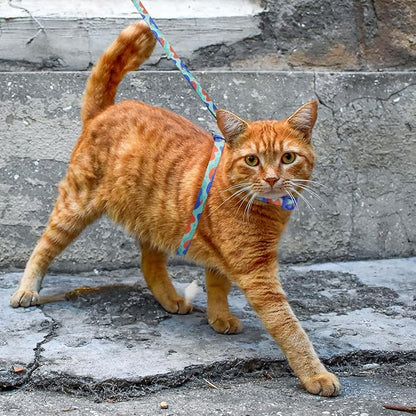 azuza Cat Harness and Leash Set for Safe Walking and Travel, Escape Proof Cat Harness, Lightweight Soft and Comfortable, Adjustable Kitten Harness for Small Medium Large Cats, Blue Camo