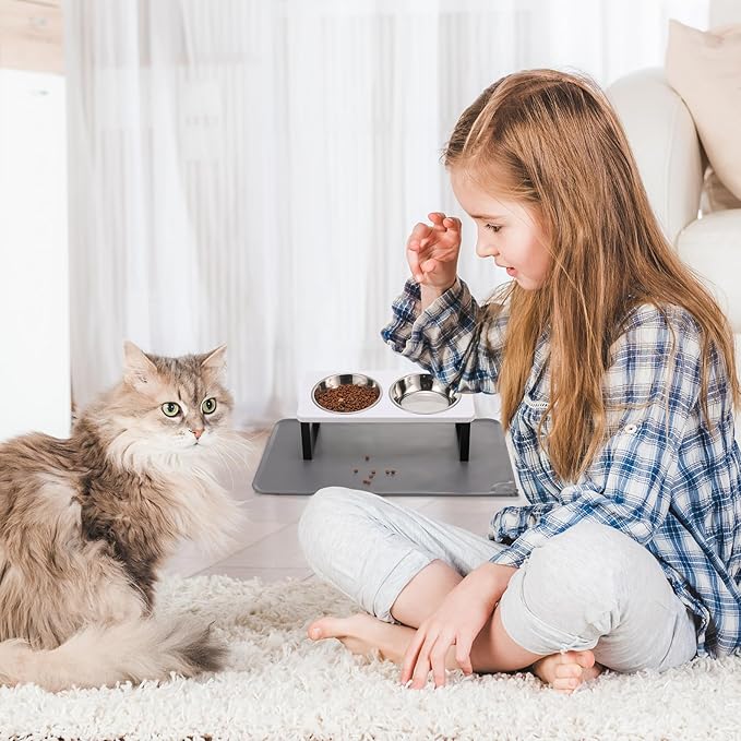 Upgraded Elevated Cat Bowls with Food Mat,15°Tilted Stand Anti Vomiting Raised Cat Dishes for Food and Water,2 Stainless Steel Bowls for Cats and Puppy（White）