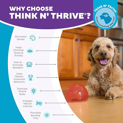 Outward Hound Lil' Snoop Interactive Treat Dispensing Dog Toy, Puzzle Ball Slow Feeder for Small to Medium Dogs, Mint-Scented for Mental Stimulation & Boredom Relief, BPA-Free, 3.9-Inch, Red