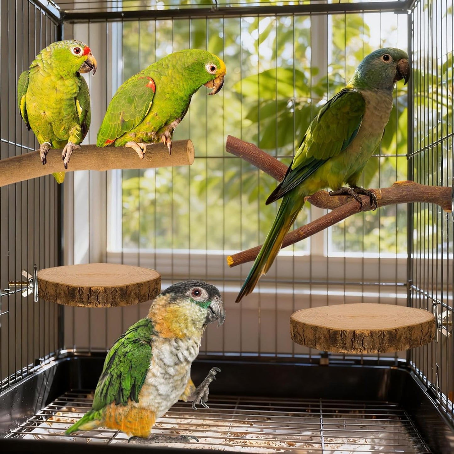 8 Pack Natural Wood Bird Perches Parrot Perch Stand Parakeet Toys Bird Cage Accessories for Budgerigar Cockatiels, Conures