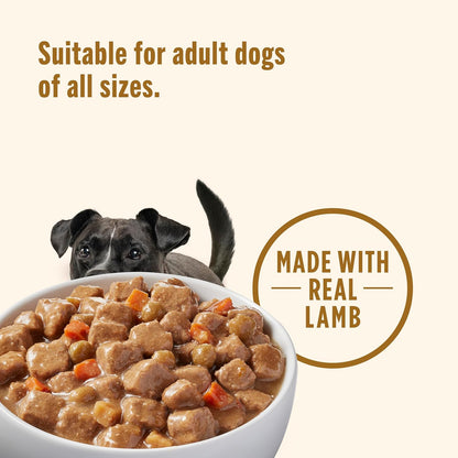 Nutrish Gentle Digestion Real Lamb, Pumpkin & Chicken Recipe Chunks in Gravy Wet Dog Food, 13 oz. Can, 12 Count (Rachael Ray)