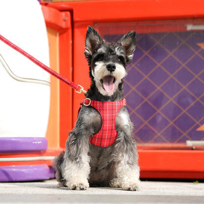 Beirui Cute Extra Small Dog Harness Collar and Leash Set with Bowtie, Soft Adjustable Plaid Puppy Harness for Small Sized Dogs Cats Walks Parties and Photoshoots(Red,XS:Chest 13-18")