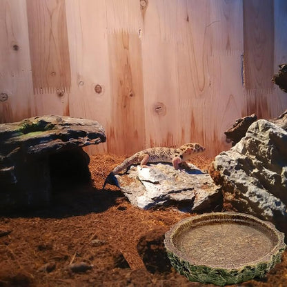 2 Pack Reptile Food Bowls, Reptile Feeding Terrarium Bowls for Bearded Dragon Lizard Frog Gecko Tortoise Hermit Crab Snail (Brown A)