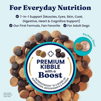 Solid Gold Lamb Dog Food Dry for Adult & Senior Dogs– High Protein Healthy Dog Kibble for Medium & Large Breeds – Whole Grain, Omega 3 & Probiotics for Gut Health & Digestion – Nutrientboost™ –22LB