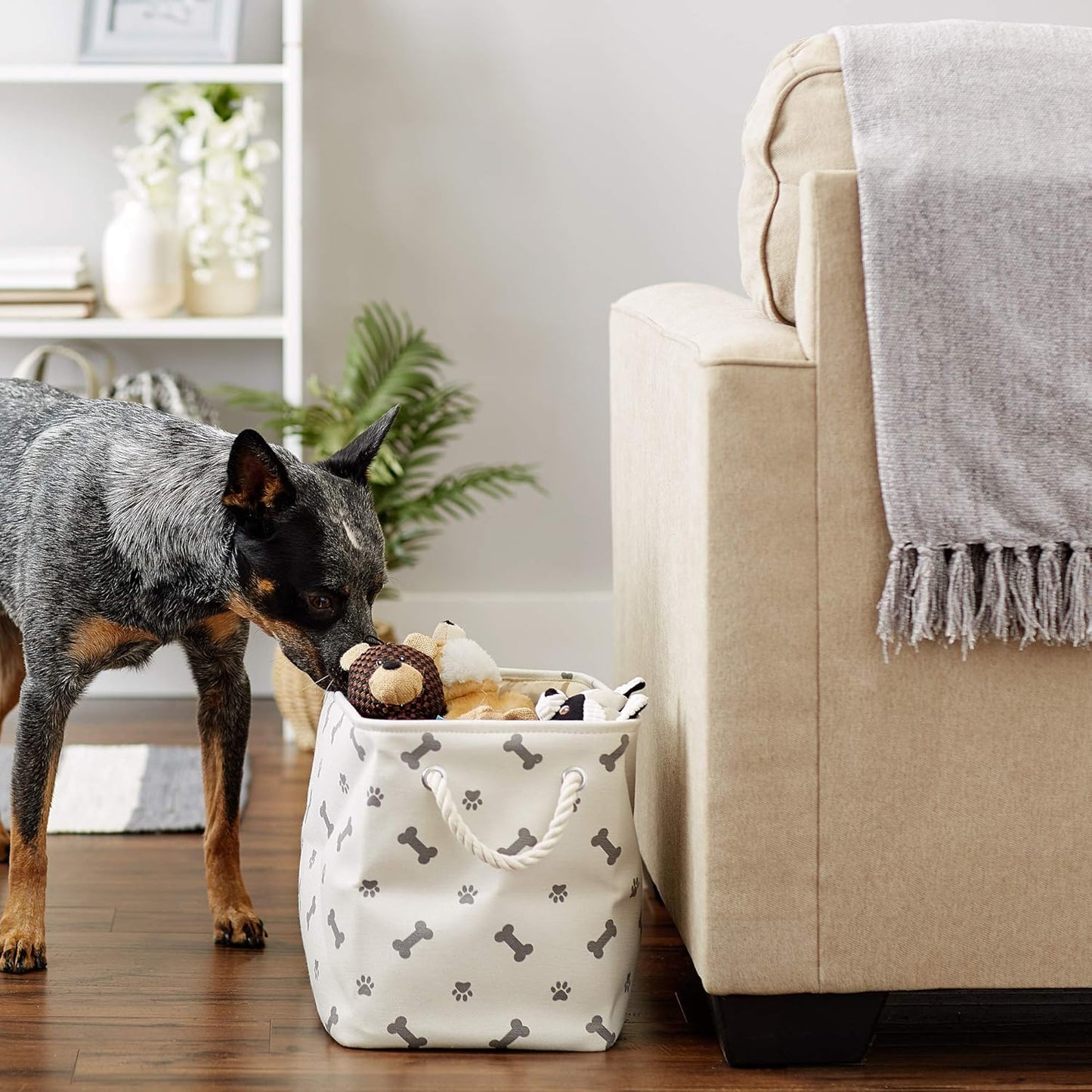 Bone Dry Pet Storage Collection Paw and Bone Print, Medium Rectangle, 16x10x12, Gray