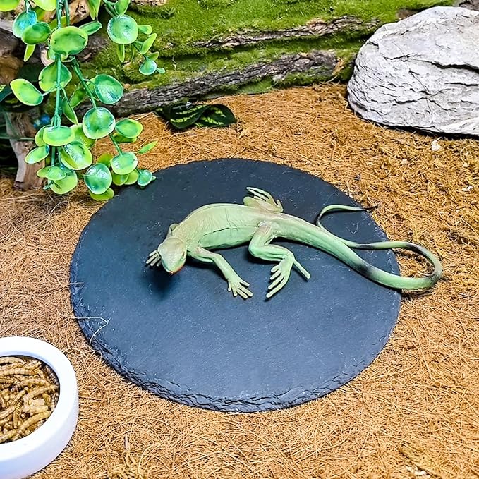 Reptile Basking Platform 2PCS 7.8IN Turtle Rock Slate Plate Feeding Plate Food Bowl Dish Tortoise Bathing Resting Terrace for Lizard Bearded Dragon Chameleon Gecko Snake Frog Newt
