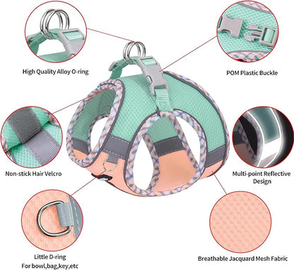 AIITLE Teacup Puppy Harness with Leash - Adjustable Soft Vest with Magic Tape & Reflective Safety Strips, Easy-Put-On for Poodles, Pomeranians - Gym, Hiking, Travel (Turquoise-Pink, S)