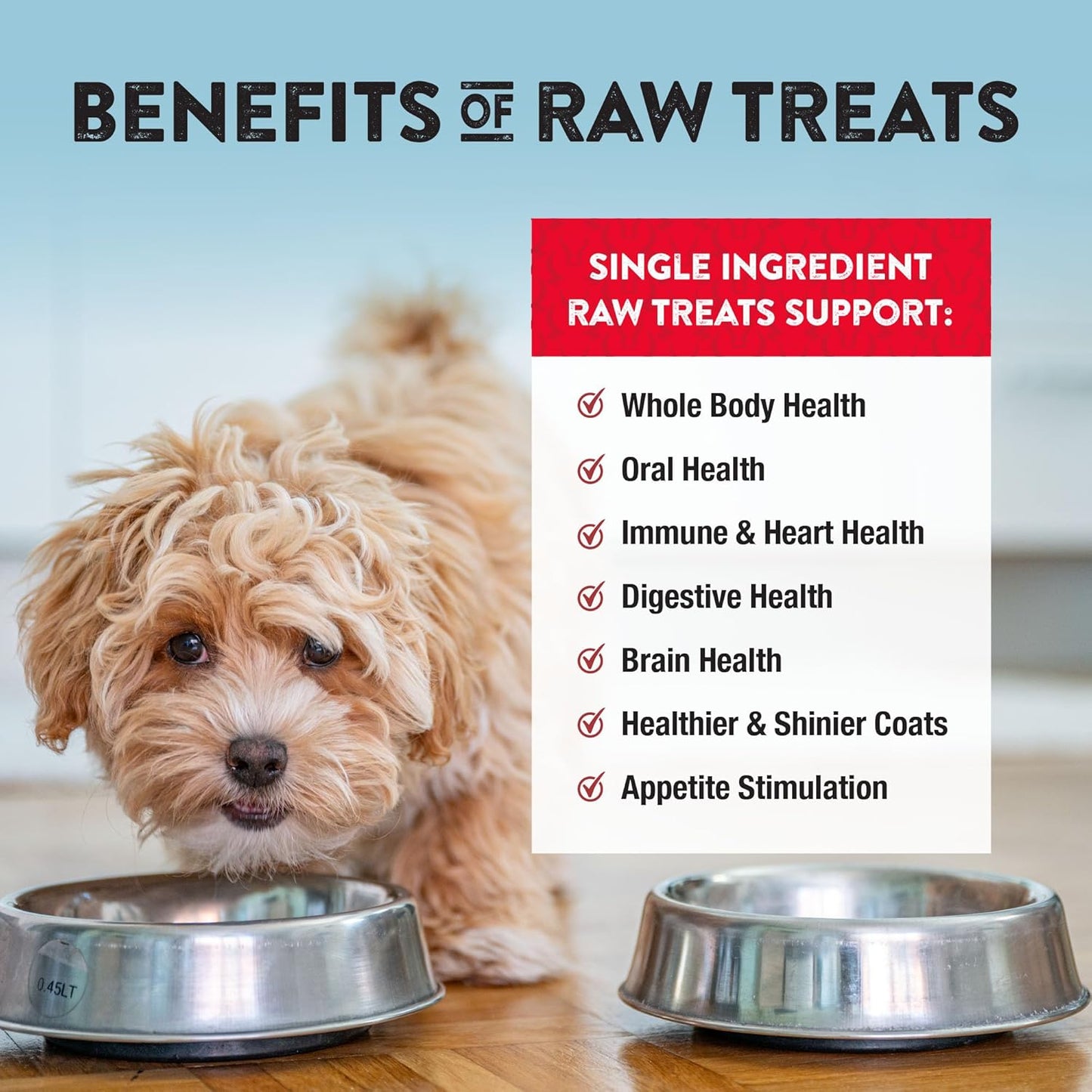 Northwest Naturals Raw Rewards Freeze-Dried Beef Liver Treats for Dogs and Cats - Bite-Sized Pieces - Healthy, 1 Ingredient, Human Grade Pet Food, All Natural, Proudly Made in USA, 3 Oz (Pack of 3)