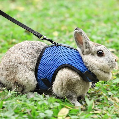 PETTOM Bunny Rabbit Harness with Stretchy Leash Cute Adjustable Buckle Breathable Mesh Vest for Kitten Small Pets Walking (Blue,XS)