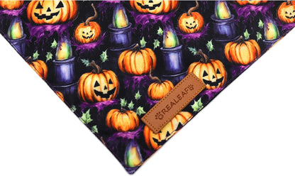 Realeaf Halloween Dog Bandanas 2 Pack, Pumpkins and Ghosts Pet Scarf for Boy and Girl, Premium Durable Fabric, Holiday Bandana for Medium and Large Dogs Pets (Large)