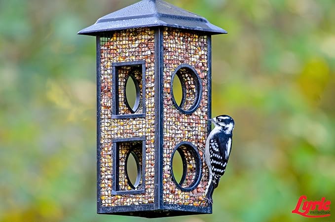 Lyric Woodpecker Wild Bird Seed - No Waste Bird Seed with Nuts, Dried Fruit & Shelled Seeds - 20 lb bag