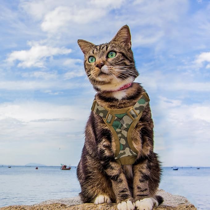 AIWAI Tactical Cat Harness for Walking Escape Proof, Adjustable Pet Vest Harness, Soft Mesh with Control Handle for Large Cat Small Dog, Gift with Patch (Camouflage, cat Harness and Leash Set)