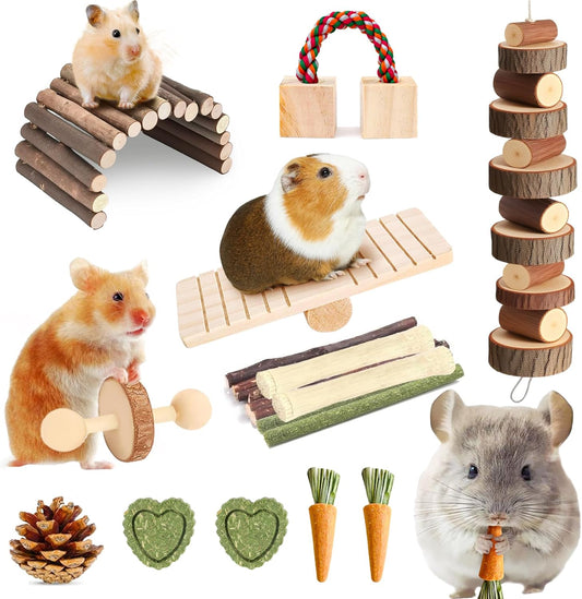 20 PCS Hamster Chew Toys Set, Natural Apple Wood Guinea Pig Toys, Hamster Cage Accessories Include Bridge, Seesaw, Carrot, Timothy Straw Stick Dental Care for Rat Gerbil Chinchilla Rabbits