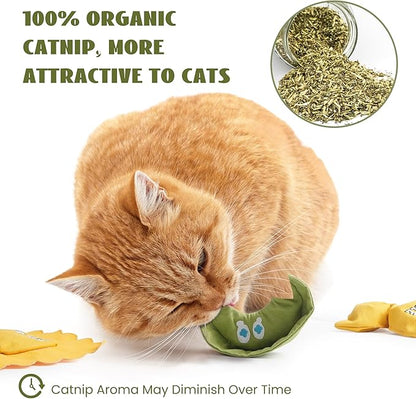 3 Pack Ravioli Catnip Toys for Indoor Cats, Interactive Cat Toys Filled with 100% Organic Catnip, Plush Chew Toys for Kittens, Teething Soft Catnip Toys for Cats