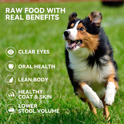 OPET Freeze Dried Chicken Breast Cat Treats for Cats & Dogs，Single Ingredient Grain Free High Protein Pet Food，Healthy Training Snacks ，(Chicken Breast-1.48 Ounce)