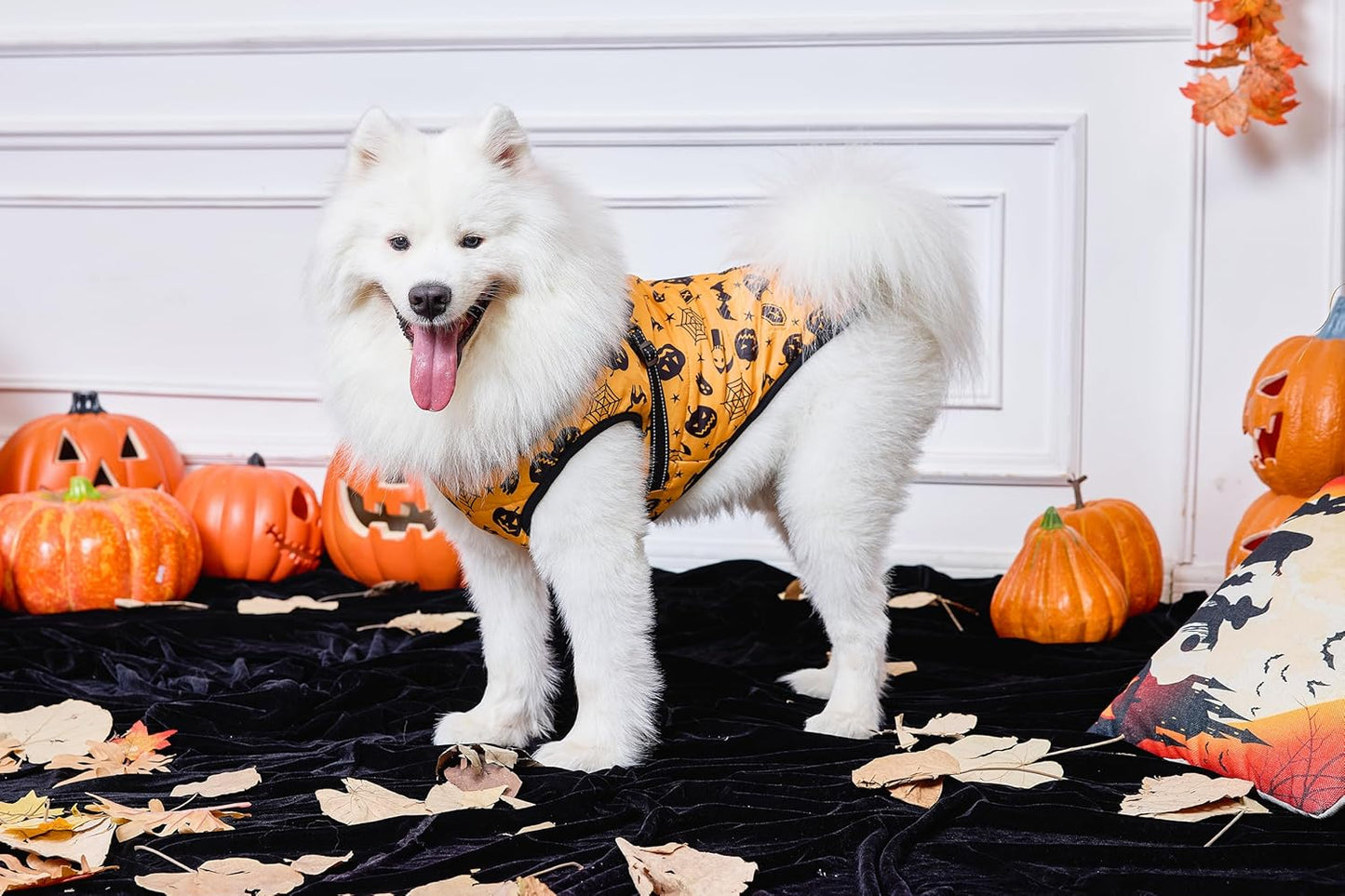 Aiboria Dog Jackets Windproof Outfit Coat Dog Vest Harness Puppy Warm Jacket Halloween Orange 3XL