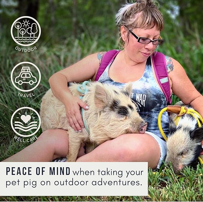 Mini Pig Harness & Leash - Fully Adjustable, Infinity Style Lead, Step-in Harness, Potbelly Supplies, All-in-One - Ideal for Small & Large Pet Pigs (Mauve Pink, Large)